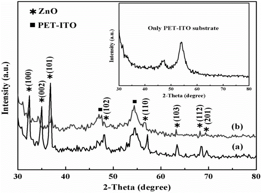 一种硼掺杂氧化锌片层球/p-型PET-ITO异质结及其制备方法和应用与流程