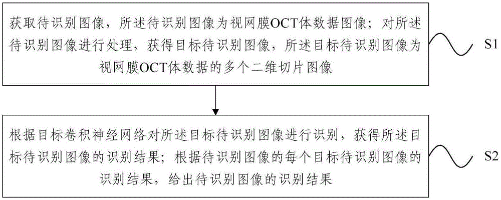 视网膜OCT体数据识别方法及装置与流程