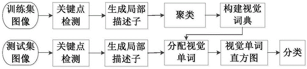 一种基于局部特征与词包模型的羊绒羊毛纤维识别方法与流程