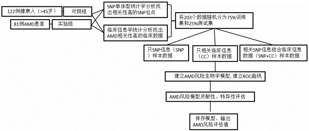 一种年龄相关性黄斑变性的风险预测算法模型和装置的制作方法