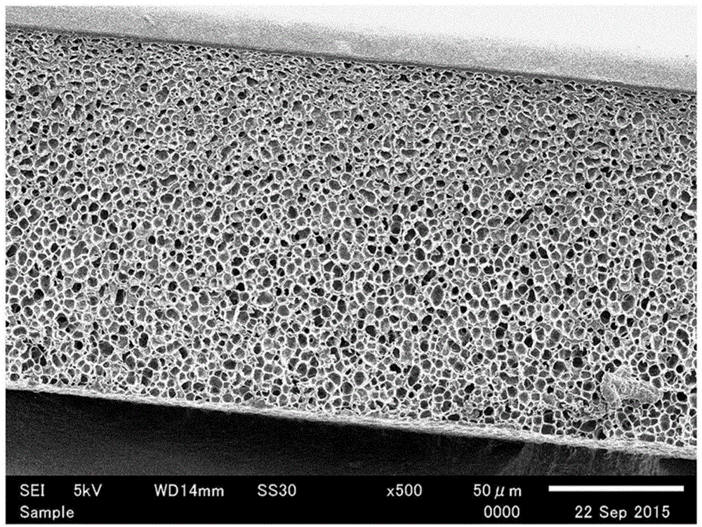 多孔的低介电性聚合物膜及毫米波天线用膜的制作方法