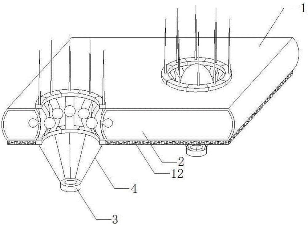 一种核孔复合体结构模型教具及其使用方法与流程