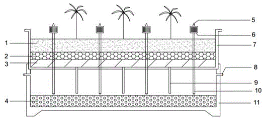 一种蜂窝生物碳基免浇水屋顶绿化装置的制作方法