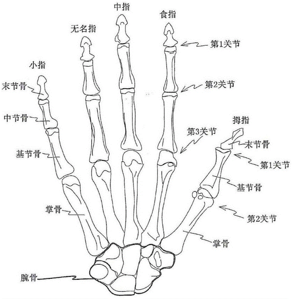 一种手指关节康复运动辅助件的制作方法