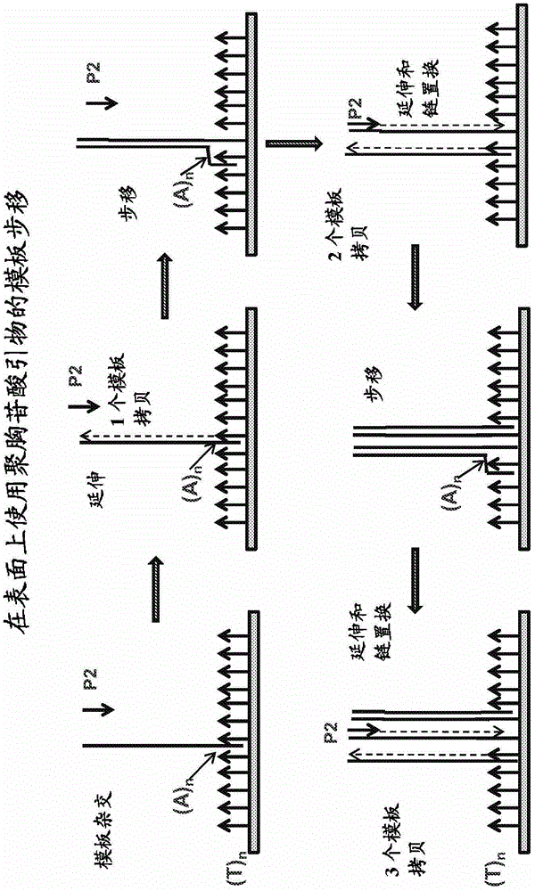 用于核酸扩增的方法、组合物、系统、仪器和试剂盒与流程