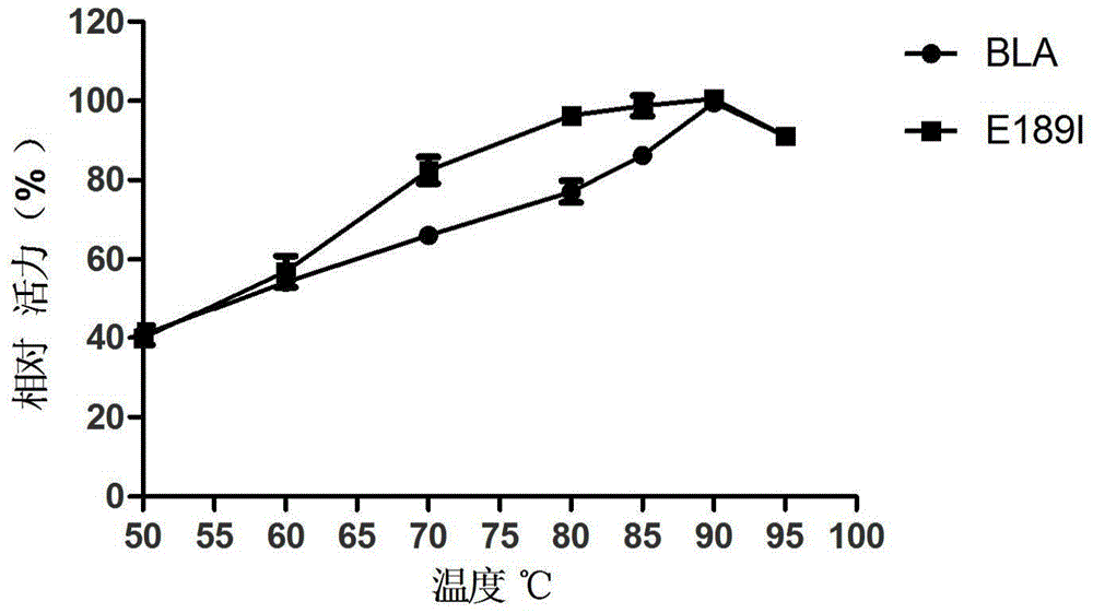 一种地衣芽胞杆菌高温α-淀粉酶突变体及其应用的制作方法