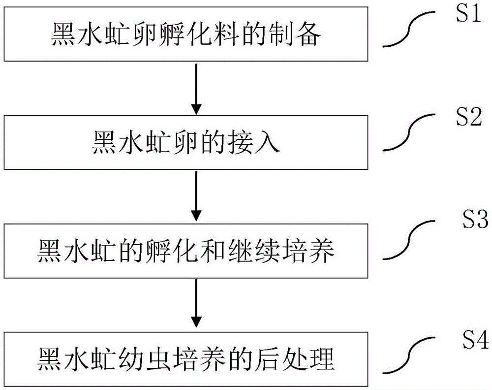 一种利用黑水虻幼虫对赤霉酸菌渣进行生物转化的方法与流程