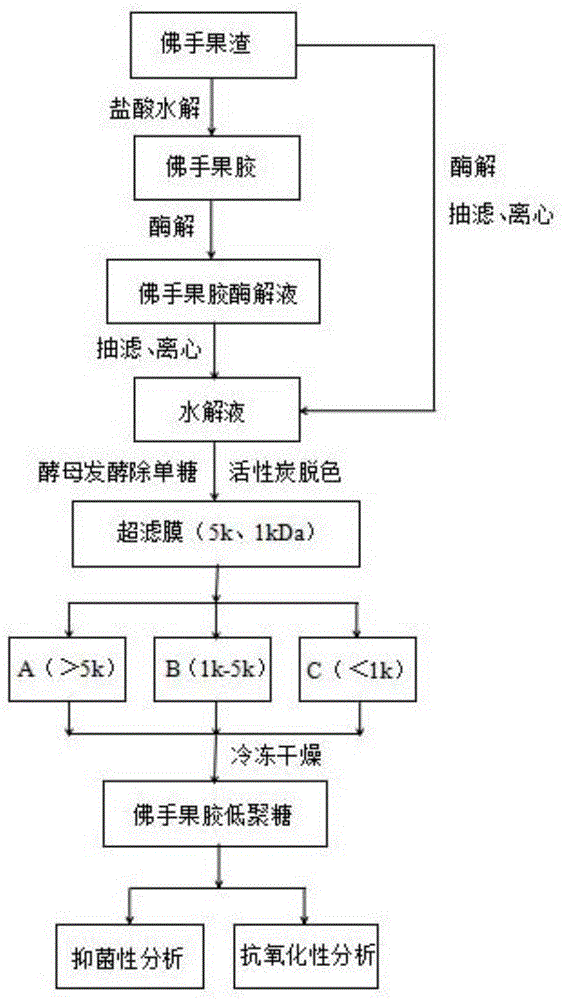 一种佛手果胶低聚糖及其制备与应用的制作方法