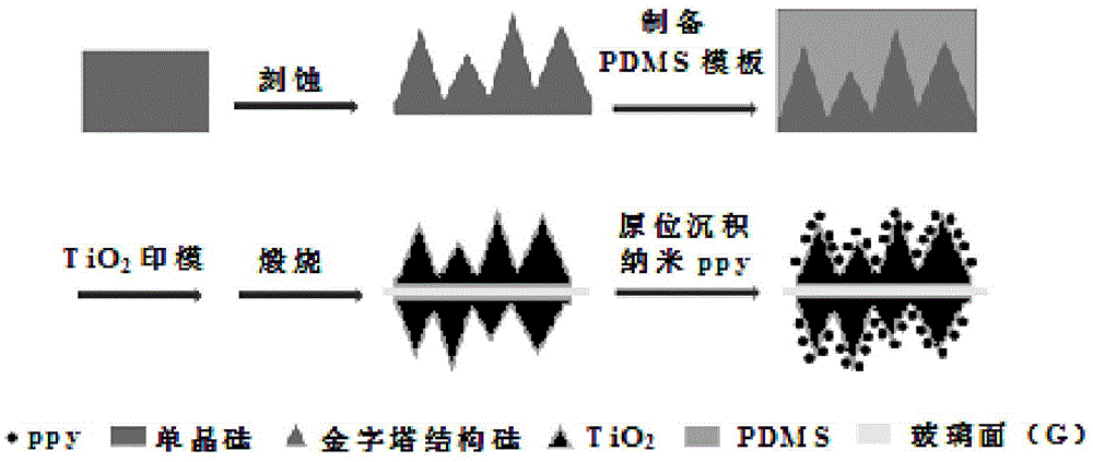 一种双层三维仿生消反射复合材料及其制备方法与流程