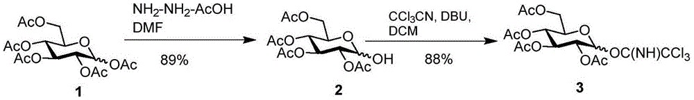 一种绿脓假单胞菌O11血清型O抗原寡糖的化学合成方法与流程