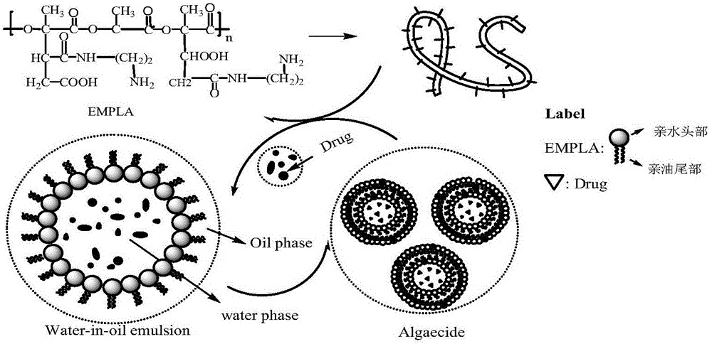 改性聚乳酸生物基质囊壁材料及其制备双分子结构缓释灭藻微胶囊的方法与流程