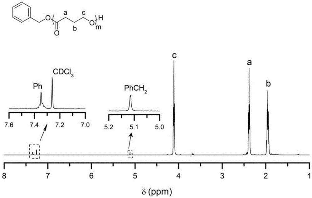 一种高分子量聚(γ-丁内酯)的制备方法与流程