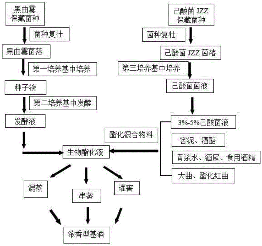 一种利用黑曲霉液态发酵制备生物酯化液的方法及其应用与流程