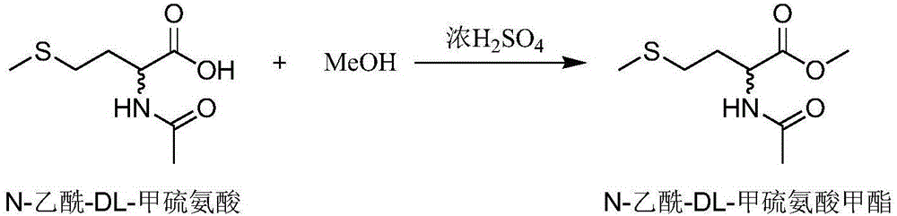 一种脂肪酶在拆分N-乙酰-DL-甲硫氨酸甲酯中的应用的制作方法