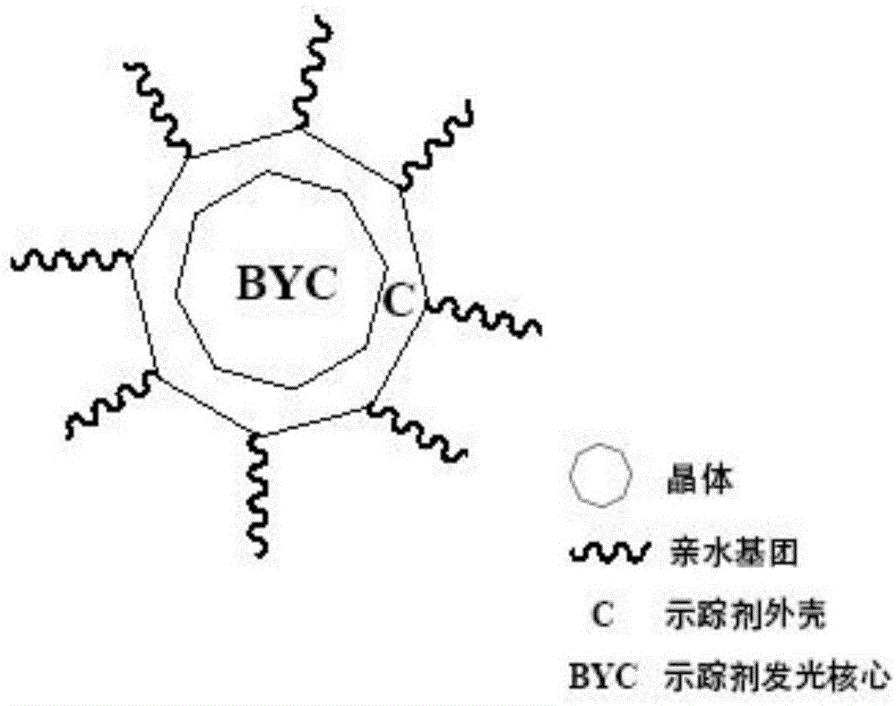 “BYC示踪剂”的合成方法及其应用与流程