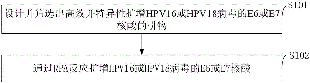 一种基于RPA的HPV16或HPV18病毒的E6或E7核酸的检测方法与流程