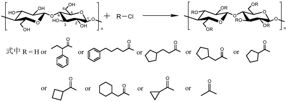 一种具有持久抗菌性能的纤维素熔纺纤维及其制备方法与流程