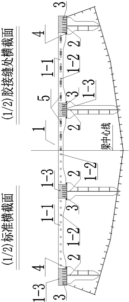 高效施加预应力的后结合钢-混结合梁和桥梁及施工方法与流程