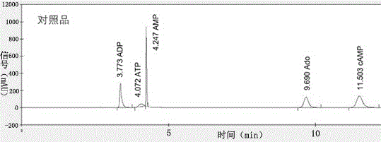 cAMP合成反应体系成分的分离鉴定方法及其应用与流程
