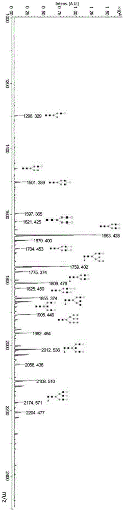一种低成本、简单快速的糖蛋白N-糖链分析方法与流程