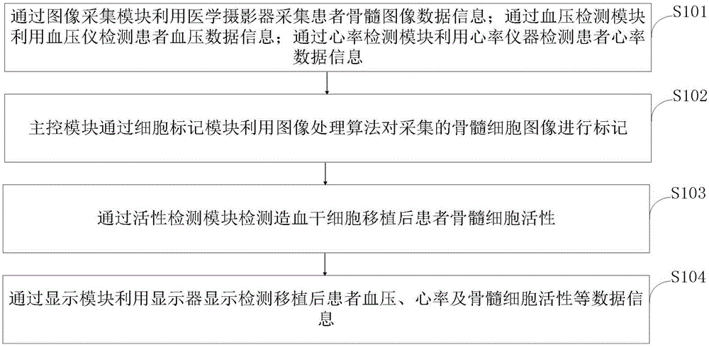 一种测定造血干细胞移植后患者骨髓微循环环境检测的系统和方法与流程