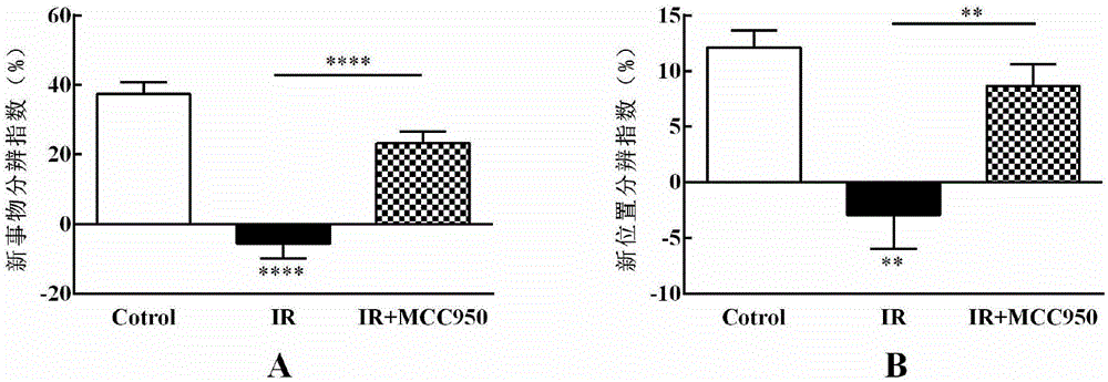 MCC950或其衍生物在制备预防或治疗辐射所致认知障碍药物中的应用的制作方法