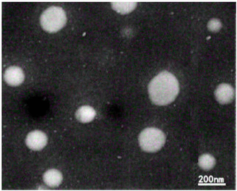 一种纳米载体的制备方法和用途与流程