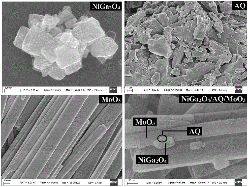 一种新型光催化剂NiGa2O4/AQ/MoO3及其制备方法和应用与流程