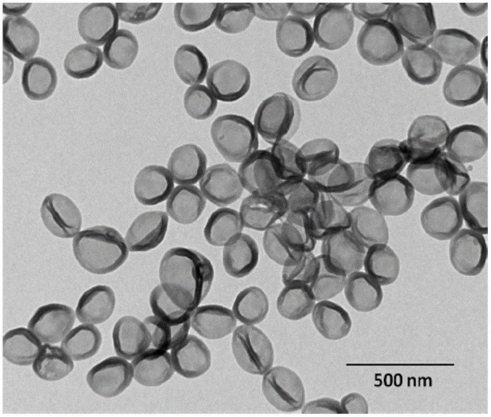 一种纳米颗粒的制备方法与流程