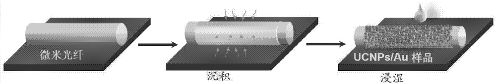 一种上转换发光选择性增强的上转换发光材料及其制备方法与流程