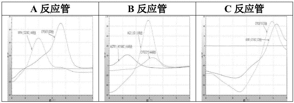 高血压基因多态性荧光PCR溶解曲线检测试剂盒及应用的制作方法