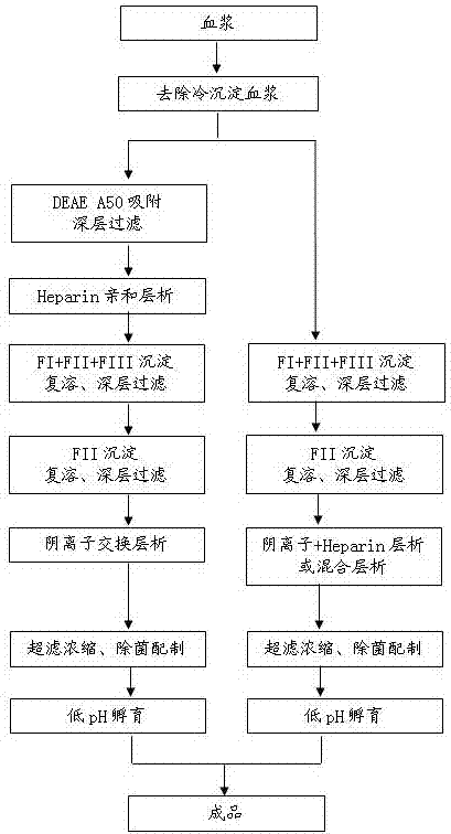 一种血浆人免疫球蛋白的制备方法与流程