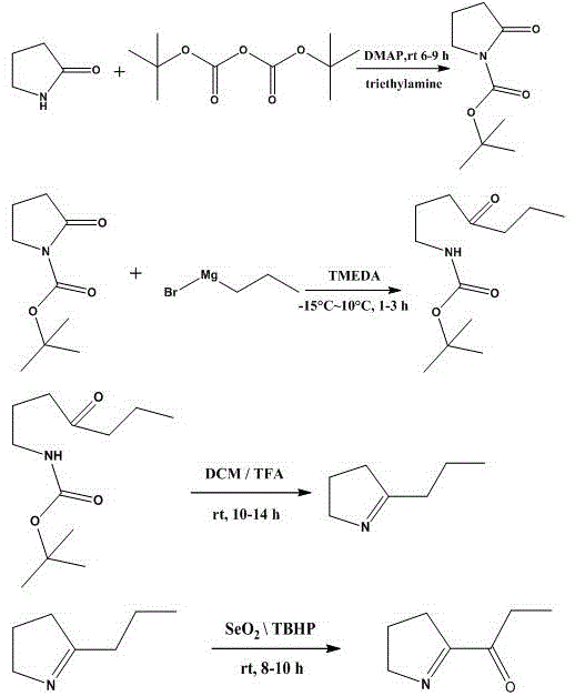 2-丙酰基-1-吡咯啉的合成方法与流程