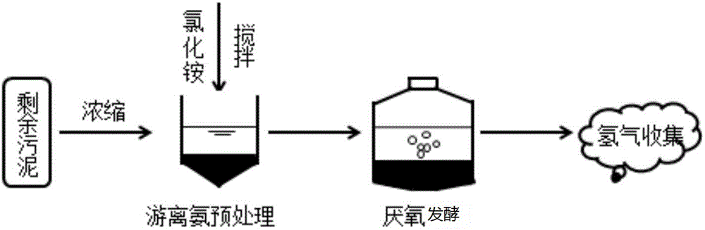一种提高剩余活性污泥厌氧发酵产氢效率的预处理方法与流程