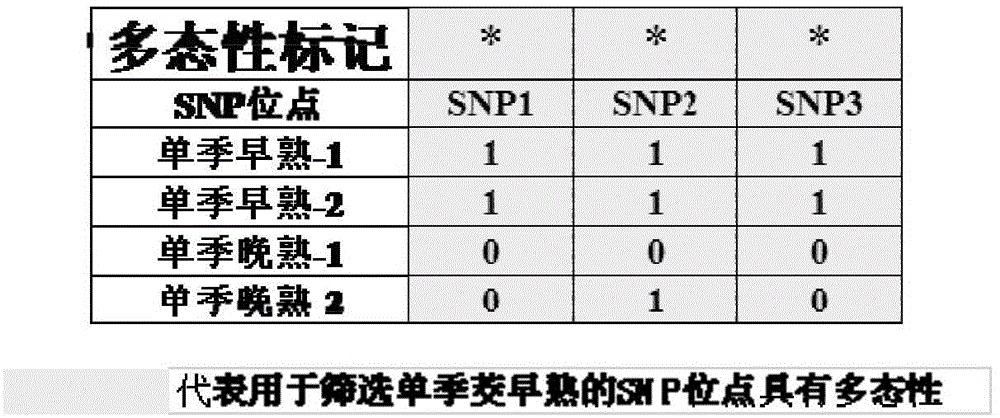 一种鉴定单季茭白早晚熟特性的分子标记及其应用、获取方法与流程