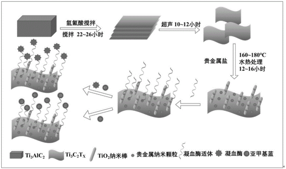 一种碳化钛三维复合材料及其制备方法以及在构建凝血酶适体传感器中的应用与流程