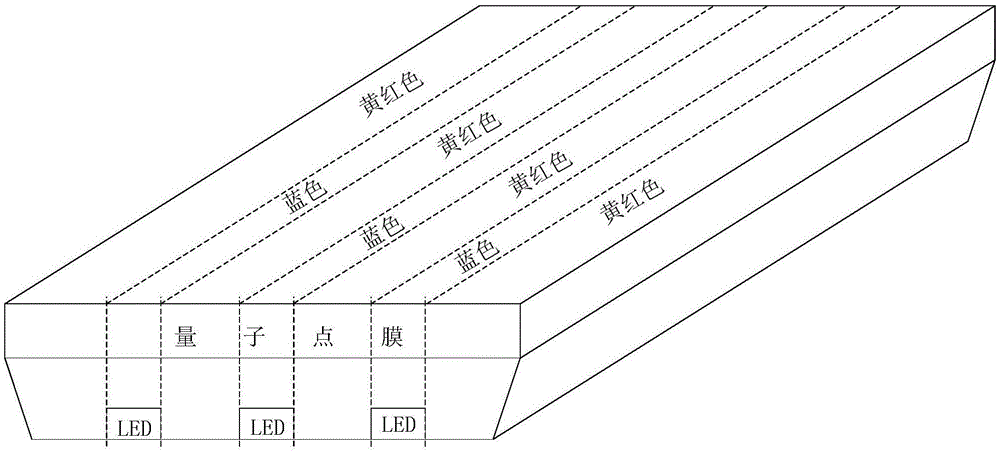 量子点膜及发光模块的制作方法