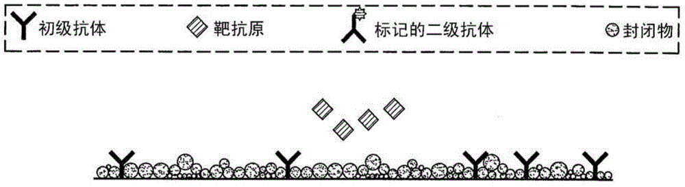 在电极表面附近产生pH/离子浓度梯度以调节生物分子相互作用的方法与流程