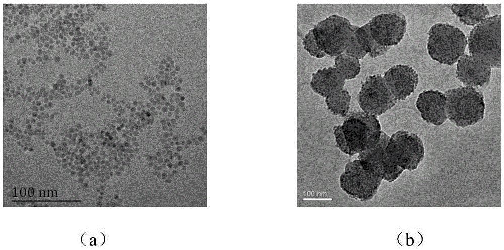 ZIF-8涂覆四氧化三铁纳米粒子材料及其制备方法和应用与流程