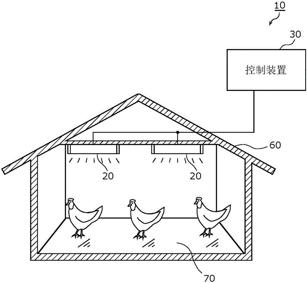 照明系统和昼行性家禽类的饲养方法与流程