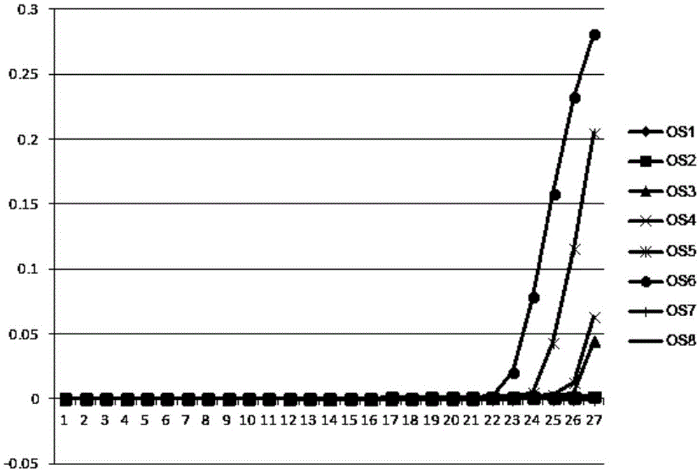 一种扬子鳄线虫环介导等温扩增及检测方法与流程