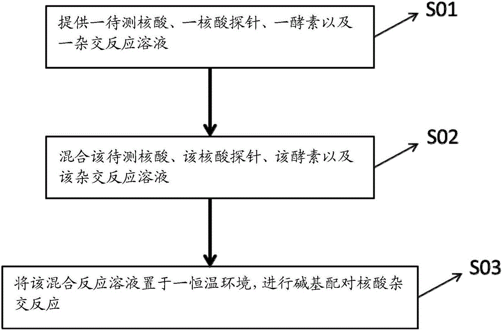 利用酵素进行恒温核酸杂交的方法与流程