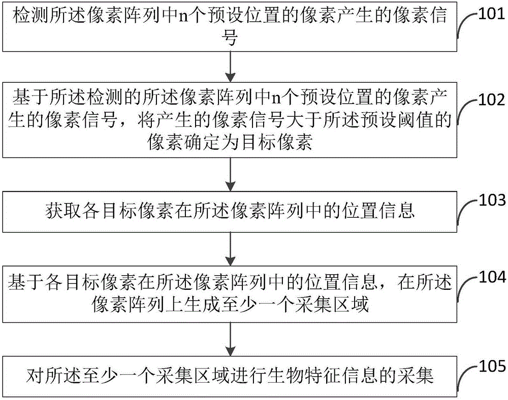 生物特征信息采集方法、生物特征信息采集装置及终端与流程