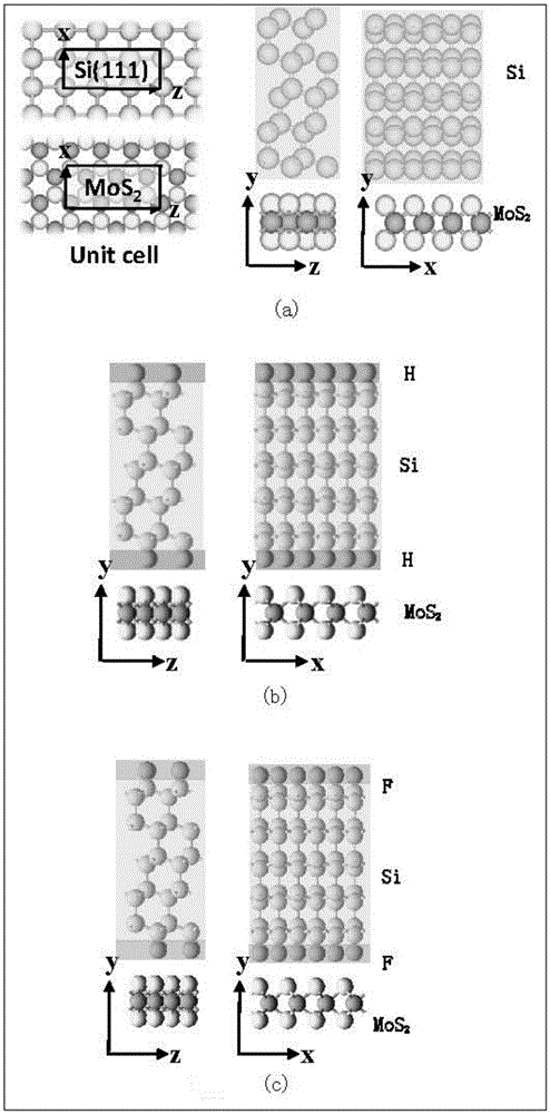 降低硅和过渡金属硫化物半导体肖特基势垒的界面处理方法与流程