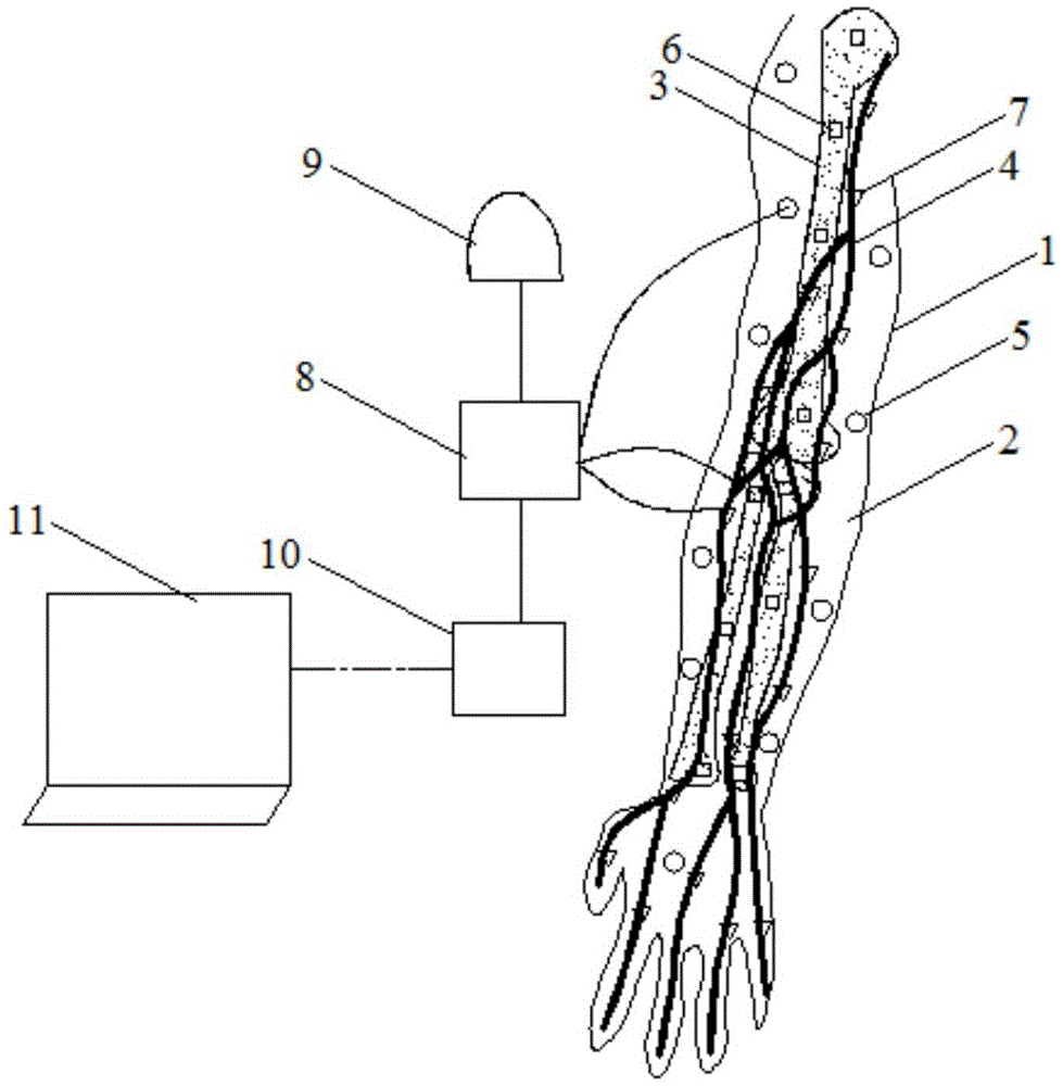 智能式实验用生物标本的制作方法