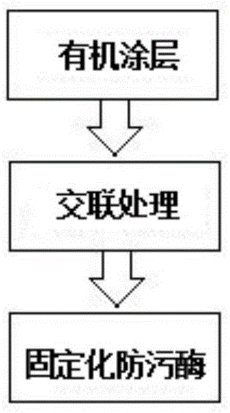 一种防污酶在无机涂层表面的固定化方法与流程