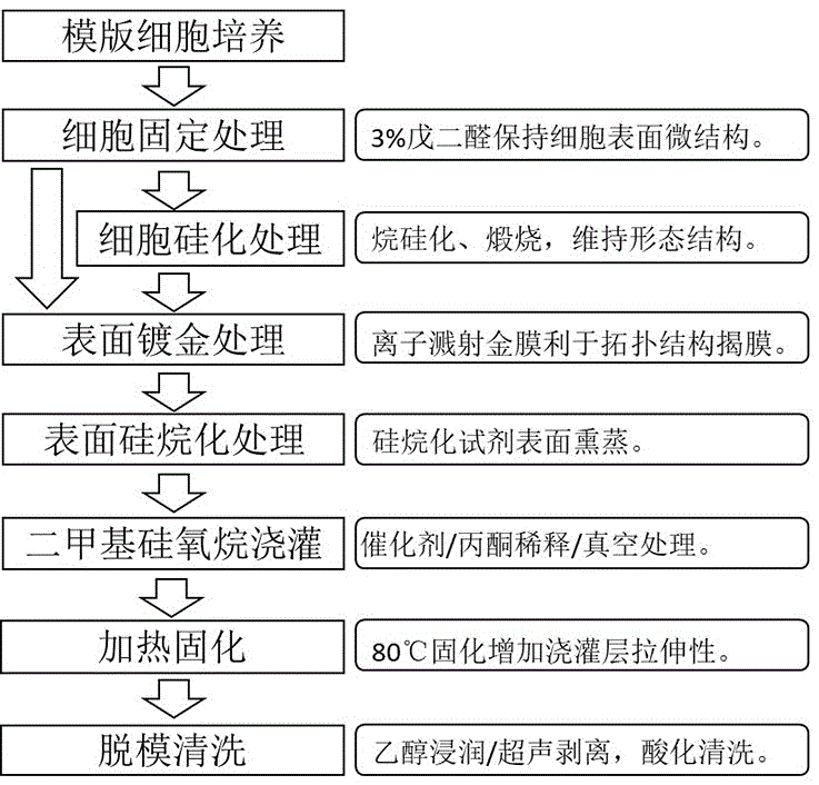 细胞表面微结构3D仿真基质材料及其制备方法与流程