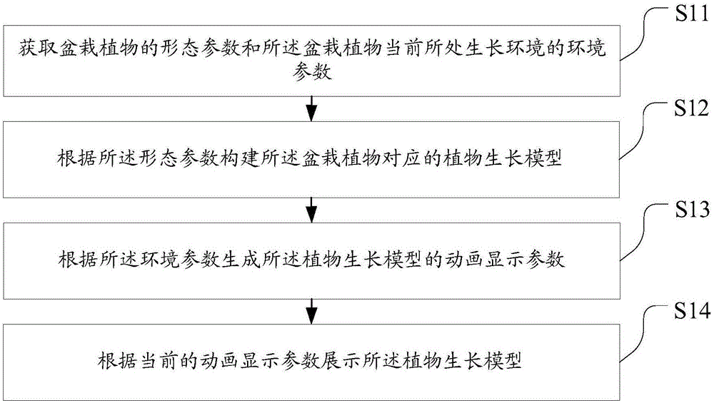 盆栽植物生长过程的显示方法、装置、存储介质及设备与流程