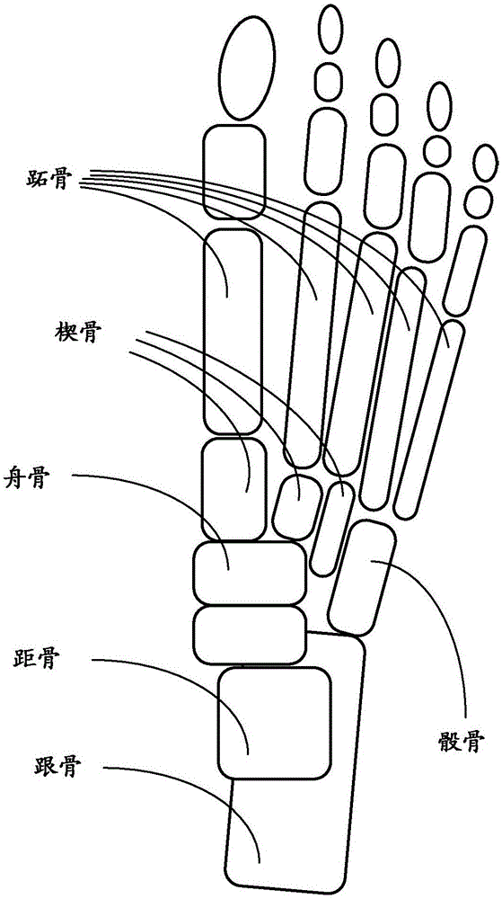 支撑足部的服装和方法与流程