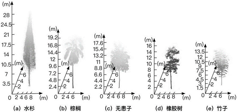 一种面向树木激光点云的有效特征抽取与树种识别方法与流程